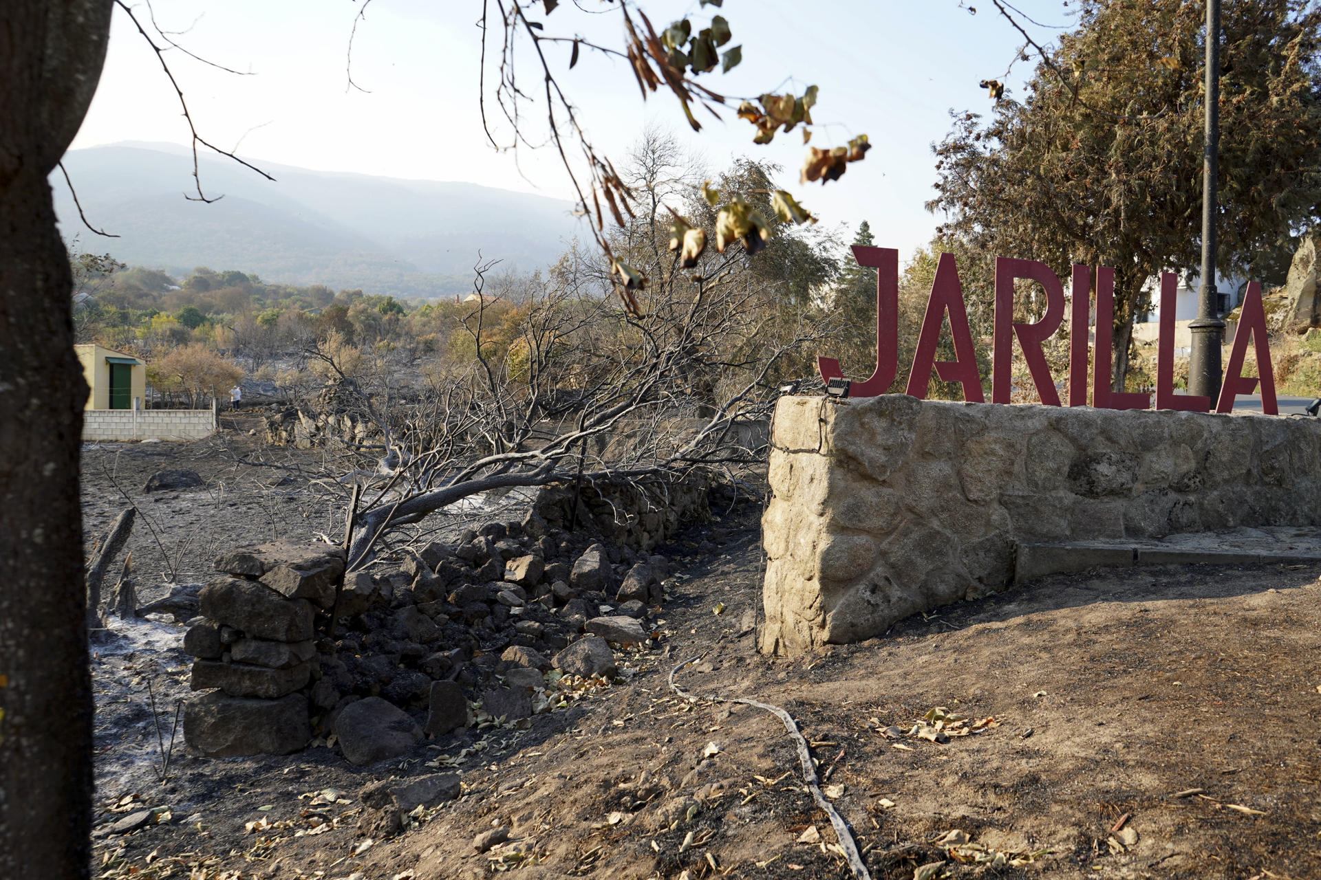 Imagen de archivo de un área quemada en el municipio de Jarilla (Cáceres). EFE/ Eduardo Palomo/Archivo