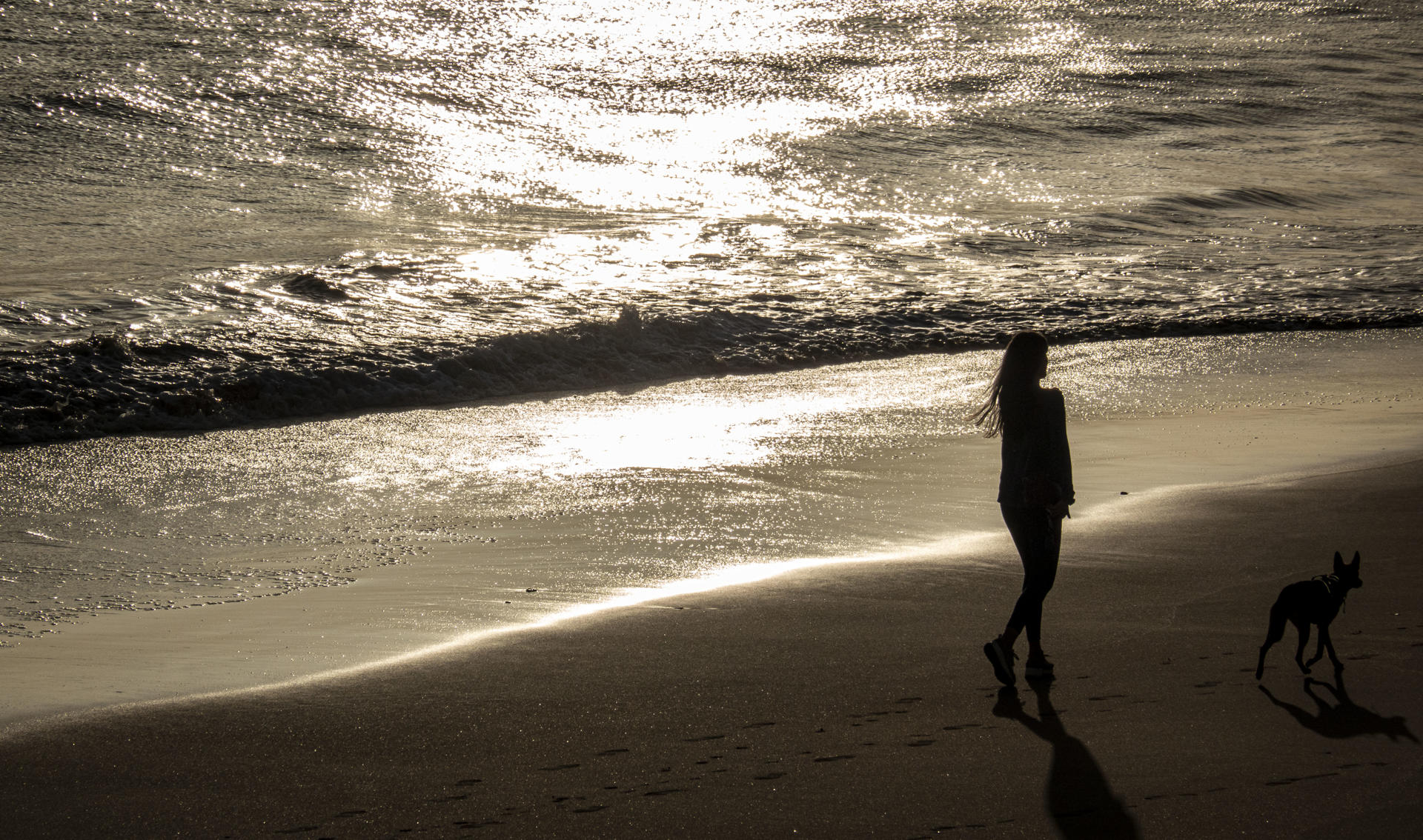 Una mujer y su perro pasean por la orilla del mar en una imagen de archivo. EFE/Javier Etxezarreta