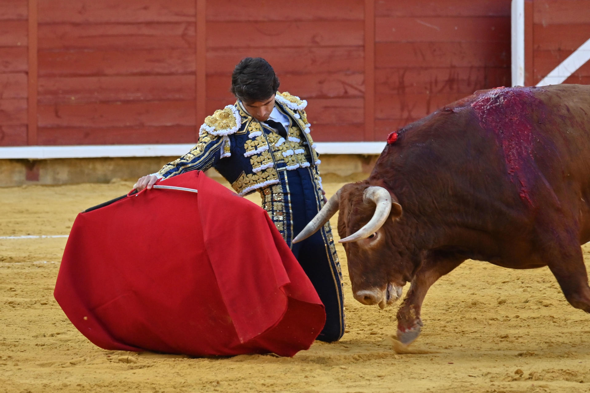 El diestro francés Sebastián Castella durante su faena en la tercera corrida de abono de la feria de San Antolín, este lunes en Palencia. EFE/Almudena Álvarez