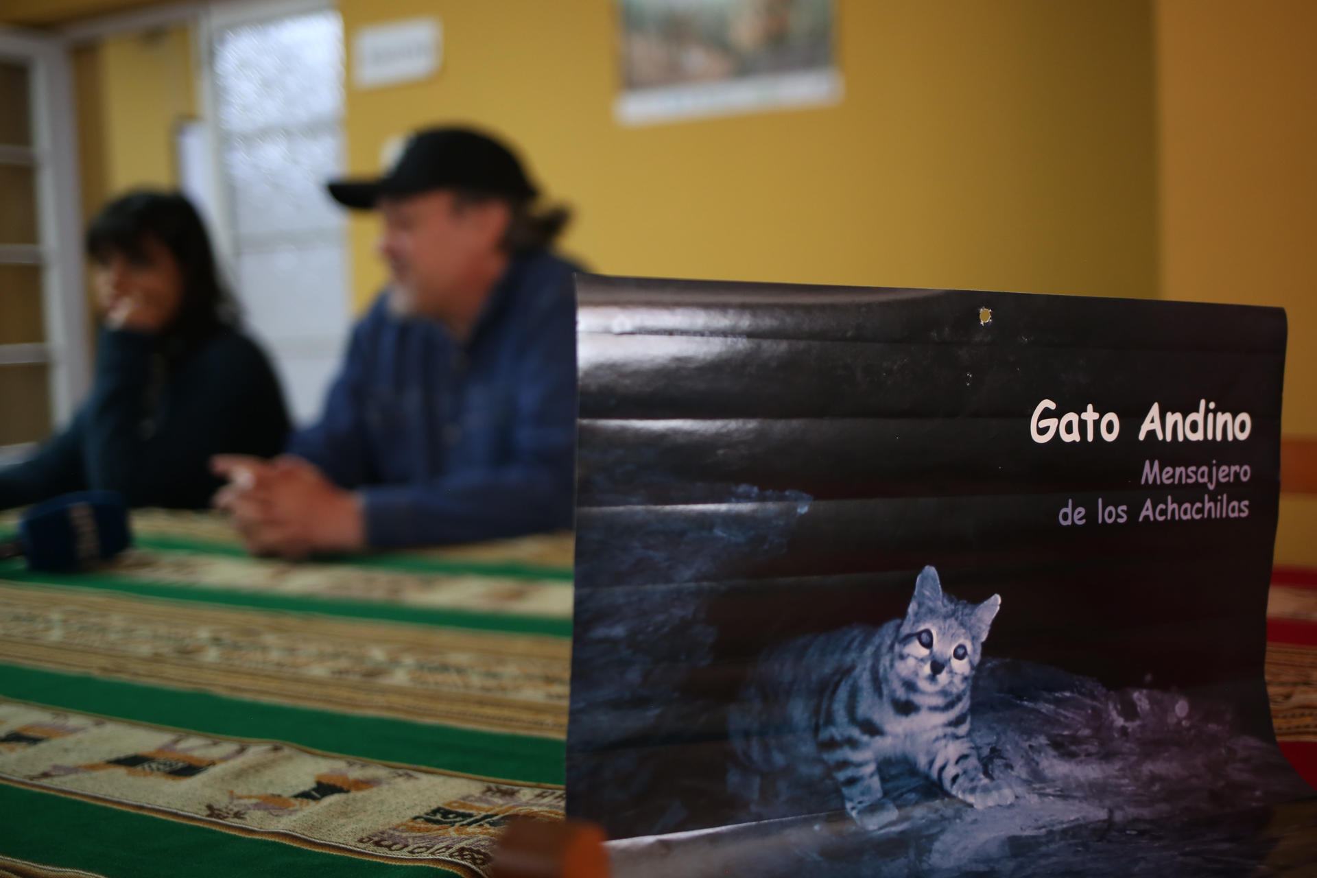 Fotografía que muestra un cartel de un gato andino este 23 de septiembre de 2025, en La Paz (Bolivia). EFE/ Luis Gandarillas
