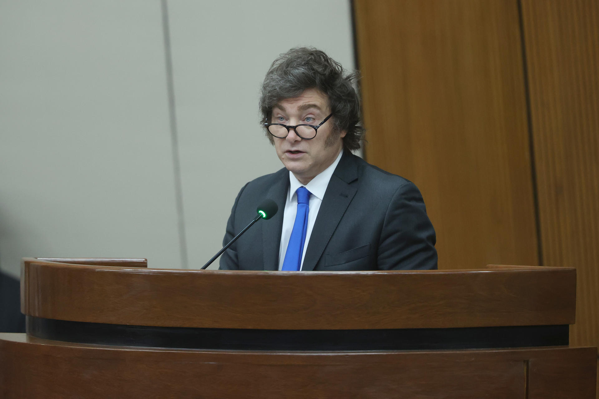 El presidente de Argentina, Javier Milei, habla este 17 de septiembre de 2025, en el Palacio Legislativo en Asunción (Paraguay). EFE/ Juan Pablo Pino