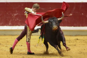 El diestro Borja Jiménez lidia su primer toro, de la ganadería de Garcigrande, en la Feria de San Mateo, este miércoles en la plaza de toros La Ribera de Logroño. EFE/ Raquel Manzanares