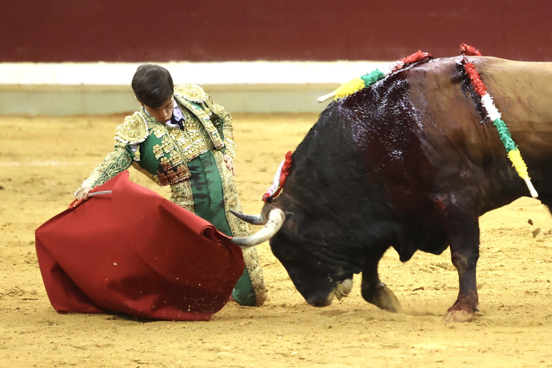 El diestro Aarón Palacios en la lidia al tercero de su lote, durante el mano a mano celebrado este martes en la plaza de toros La Ribera, en Logroño, en el marco de la Feria de San Mateo. EFE/Raquel Manzanares
