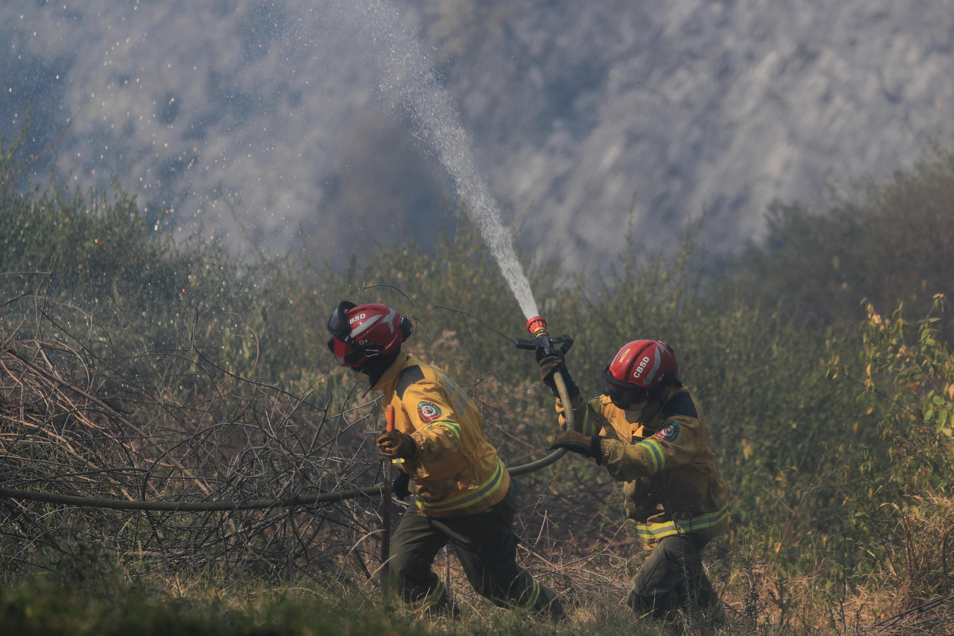 Fotografía de archivo, tomada en septiembre de 2024, de un par de bomberos al atender un incendio forestal, en inmediaciones de Quito (Ecuador). EFE/José Jácome