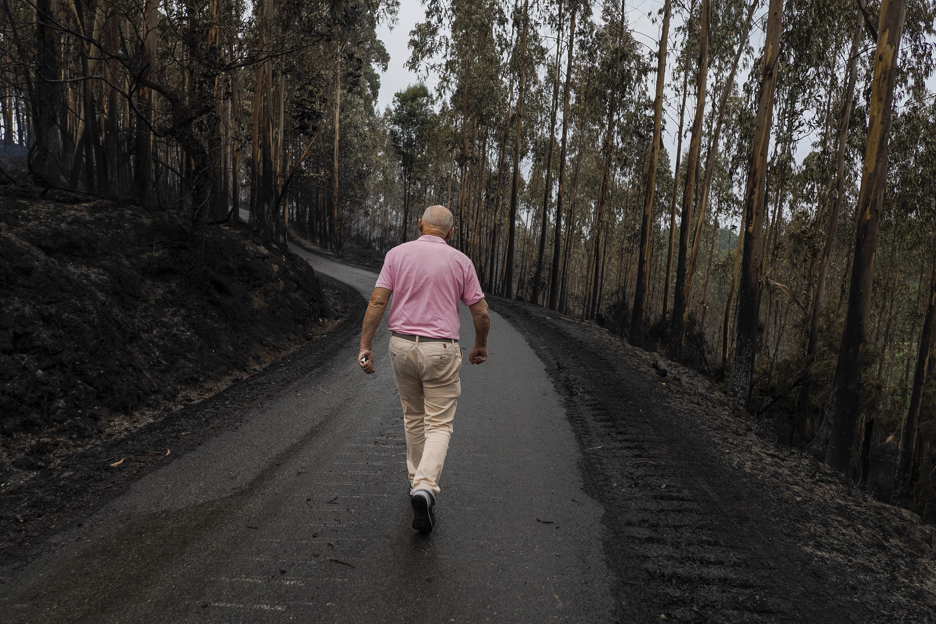 Monte quemado en Celeiro de Mariñaos en Barreiros, en la mariña de Lugo. EFE/Eliseo Trigo