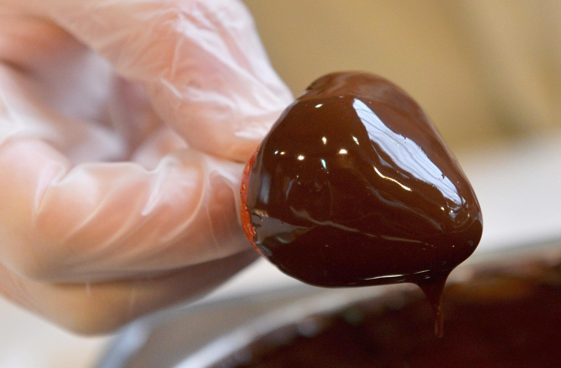 Imagen de archivo de una fresa bañada en chocolate. EFE/EPA/STEPHANIE LECOCQ