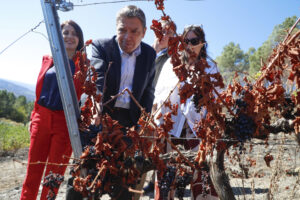 El ministro de Agricultura, Pesca y Alimentación, Luis Planas, visita la Bodega Alan de Val en A Rúa, Ourense, mientras visita este jueves zonas afectadas por los incendios forestales en Galicia este verano. EFE/Eliseo Trigo
