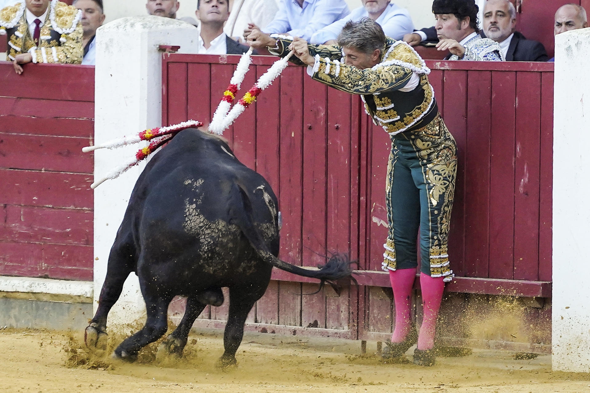 El diestro Manuel Escribano pone un par de banderillas al segundo toro de los de su lote, durante la quinta de abono de la Feria de Valladolid celebrada este domingo en la plaza de toros de la capital castellano-leonesa. EFE/Nacho Gallego