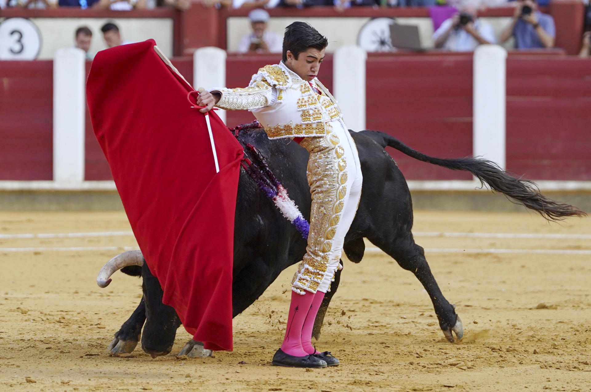 El diestro Marco Pérez torea con la muleta al primer toro de su lote, durante la tercera de abono celebrada este viernes en la plaza de toros de Valladolid. EFE/Nacho Gallego