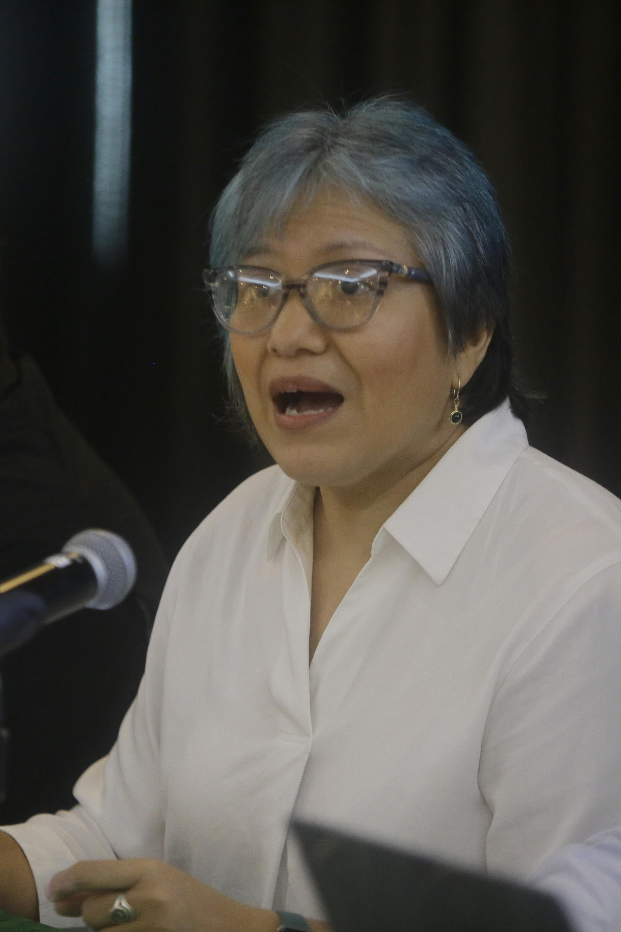 La ambientalista y coordinadora de la Mesa Técnica para el cierre de la mina, Alibel Pizarro, habla en una rueda de prensa este jueves, en Ciudad de Panamá (Panamá). EFE/ Carlos Lemos
