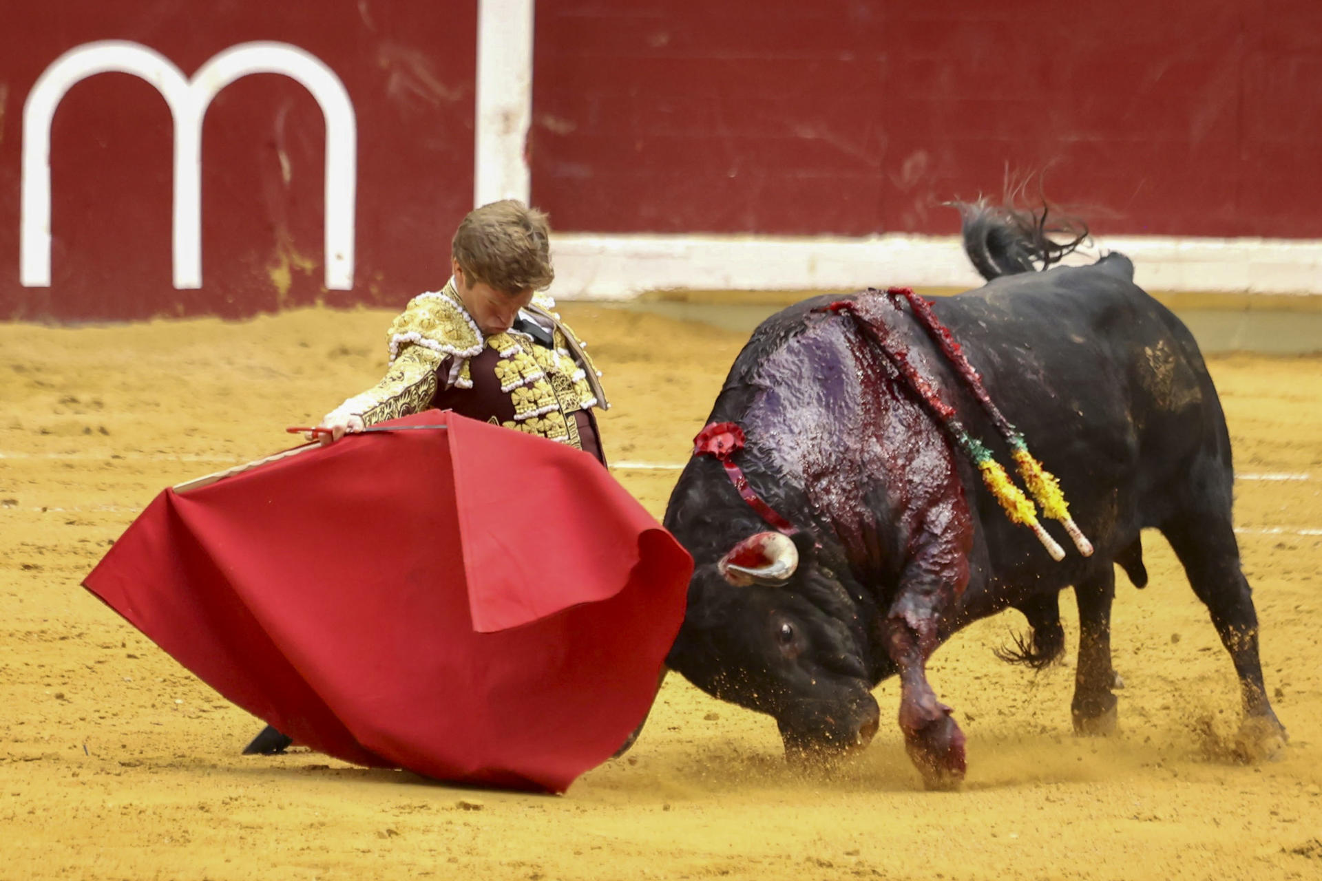 El diestro Borja Jiménez lidia su primer toro, de la ganadería de Garcigrande, en la Feria de San Mateo, este miércoles en la plaza de toros La Ribera de Logroño. EFE/ Raquel Manzanares
