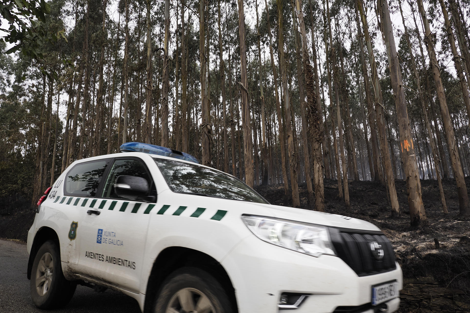 Monte quemado en Celeiro de Mariñaos en Barreiros, en la mariña de Lugo. EFE/Eliseo Trigo