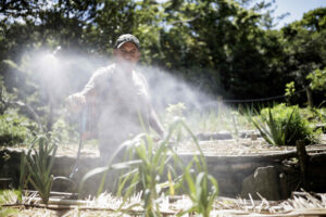 Un hombre fue captado el pasado 30 de agosto al fumigar un cultivo de la Reserva Natural Valle Escondido, en Monteverde (Costa Rica). EFE/Jeffrey Arguedas