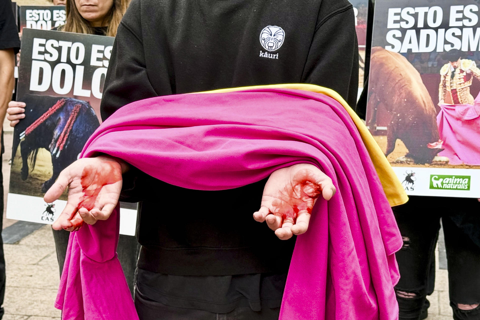Medio centenar de personas reclaman que no caben los toros en las Fiestas de San Mateo.-Concentración de animalistas este domingo en Logroño para denunciar que en las fiestas de San Mateo y de la Vendimia Riojana van a morir 24 toros y va a haber vaquillas para captar al público joven, tal y como ha señalado la portavoz de AnimaNaturalis en La Rioja, Inma de Imaña. EFE/Sergio Jiménez