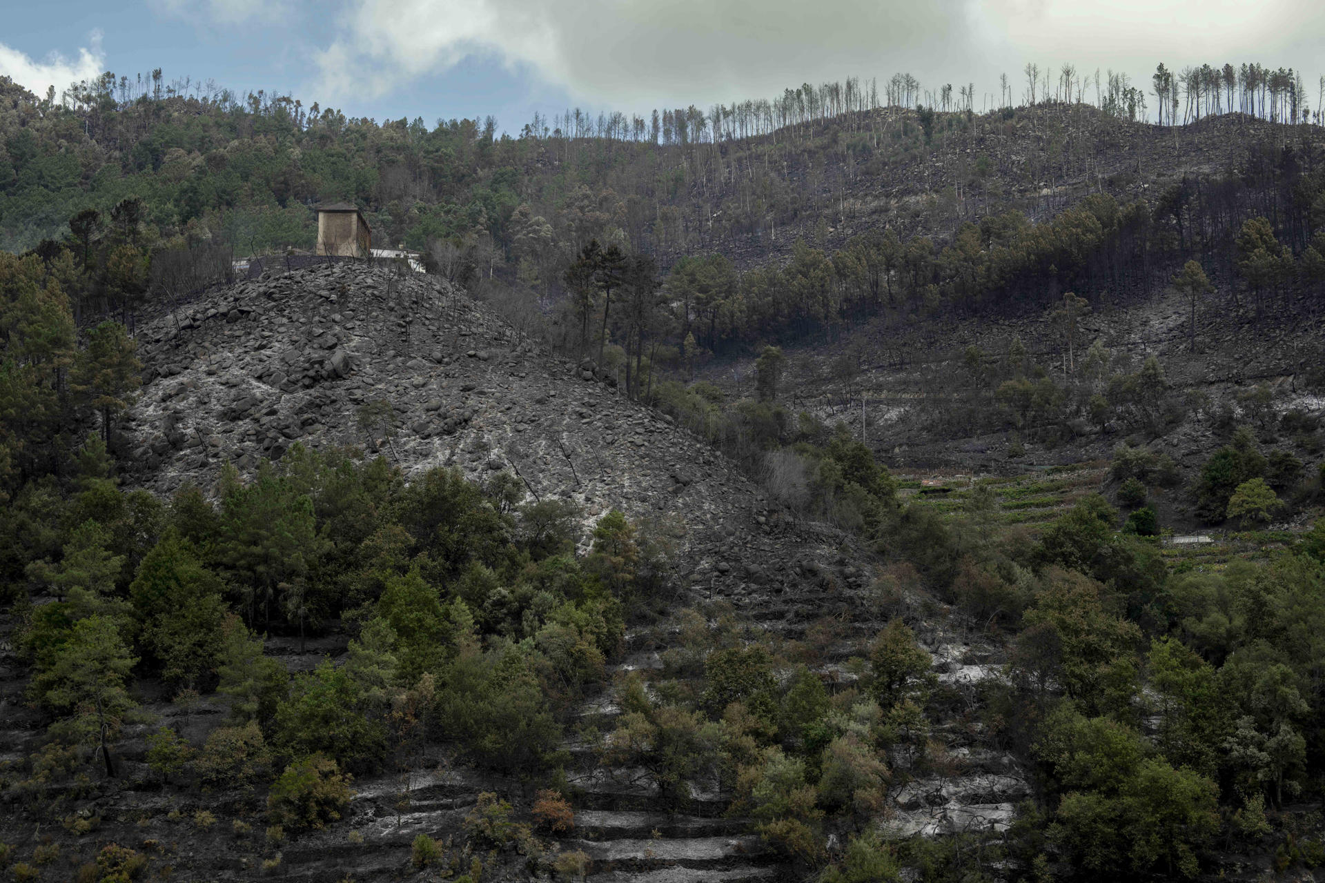 Galicia continúa su lucha contra los incendios forestales que está sufriendo este mes de septiembre, el más grave en los municipios de Pantón y Sober (Lugo), que ha afectado ya a más de 2.000 hectáreas, tras haber padecido en agosto la mayor oleada de fuegos de su historia. En la imagen, superficie calcinada por el incendio forestal de Pantón, visible desde la provincia de Ourense. EFE/Brais Lorenzo