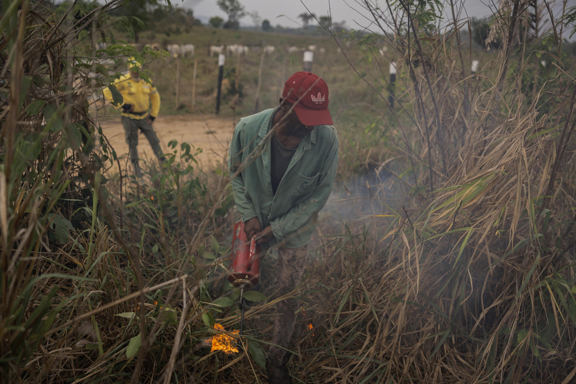 Un bombero forestal del Instituto Chico Mendes de Conservación de la Biodiversidad (ICMBio) al acompañar al ganadero Valdemir Costa mientras utiliza un 'pinga-fogo', durante una quema controlada en un área de pastizales, en Parauapebas (Pará, Brasil). EFE/Isaac Fontana
