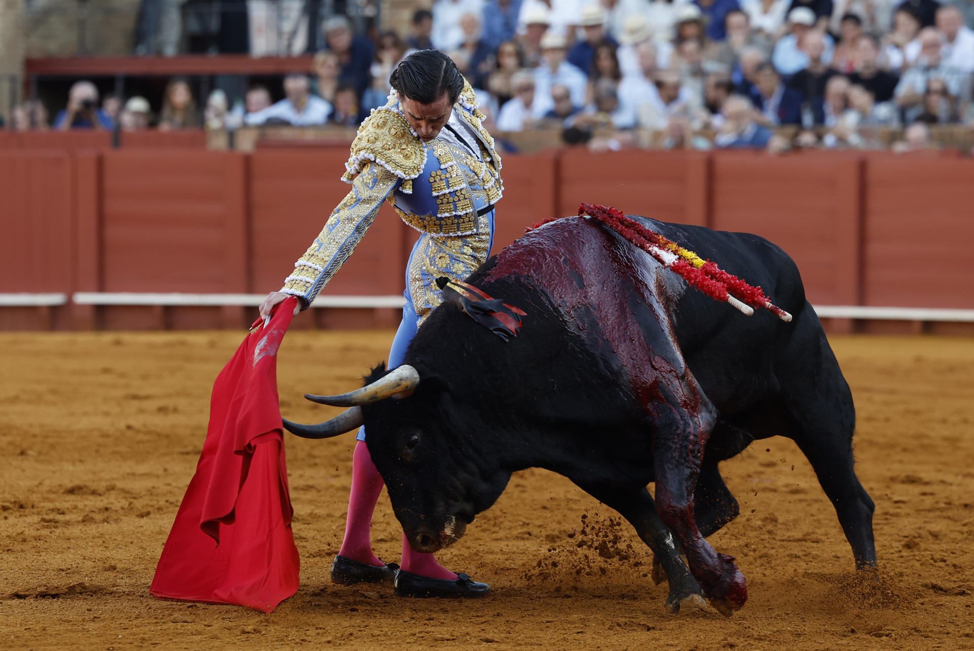 El diestro Juan Ortega en su faena durante la Feria de San Miguel que se celebra hoy viernes en la plaza de toros La Maestranza de Sevilla. EFE/Julio Muñoz
