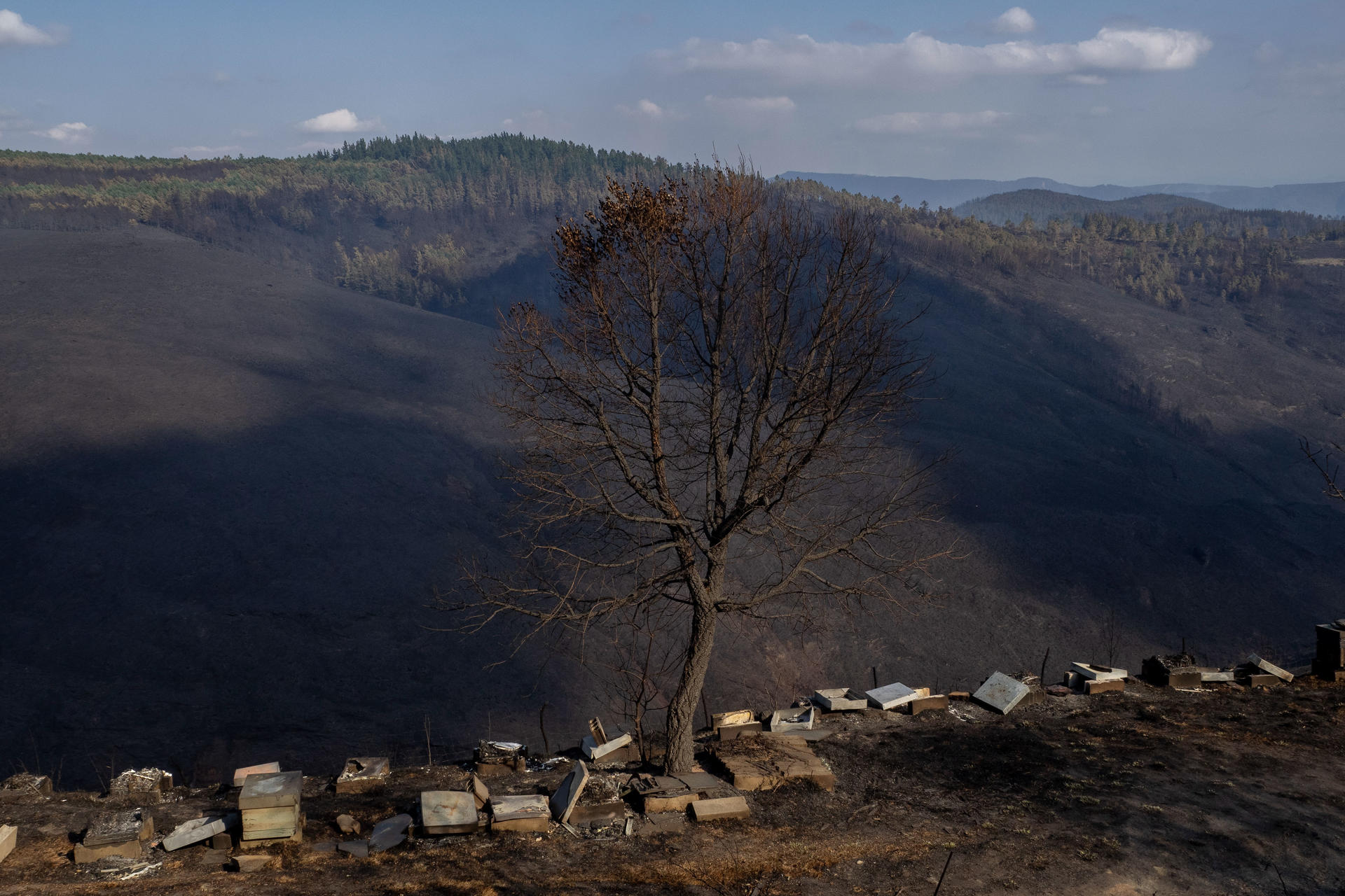 Imagen de las colmenas quemadas en la Aldea de O Busto, en Pobra de Brollón, Lugo, por un incendio este verano. EFE / Eliseo Trigo.