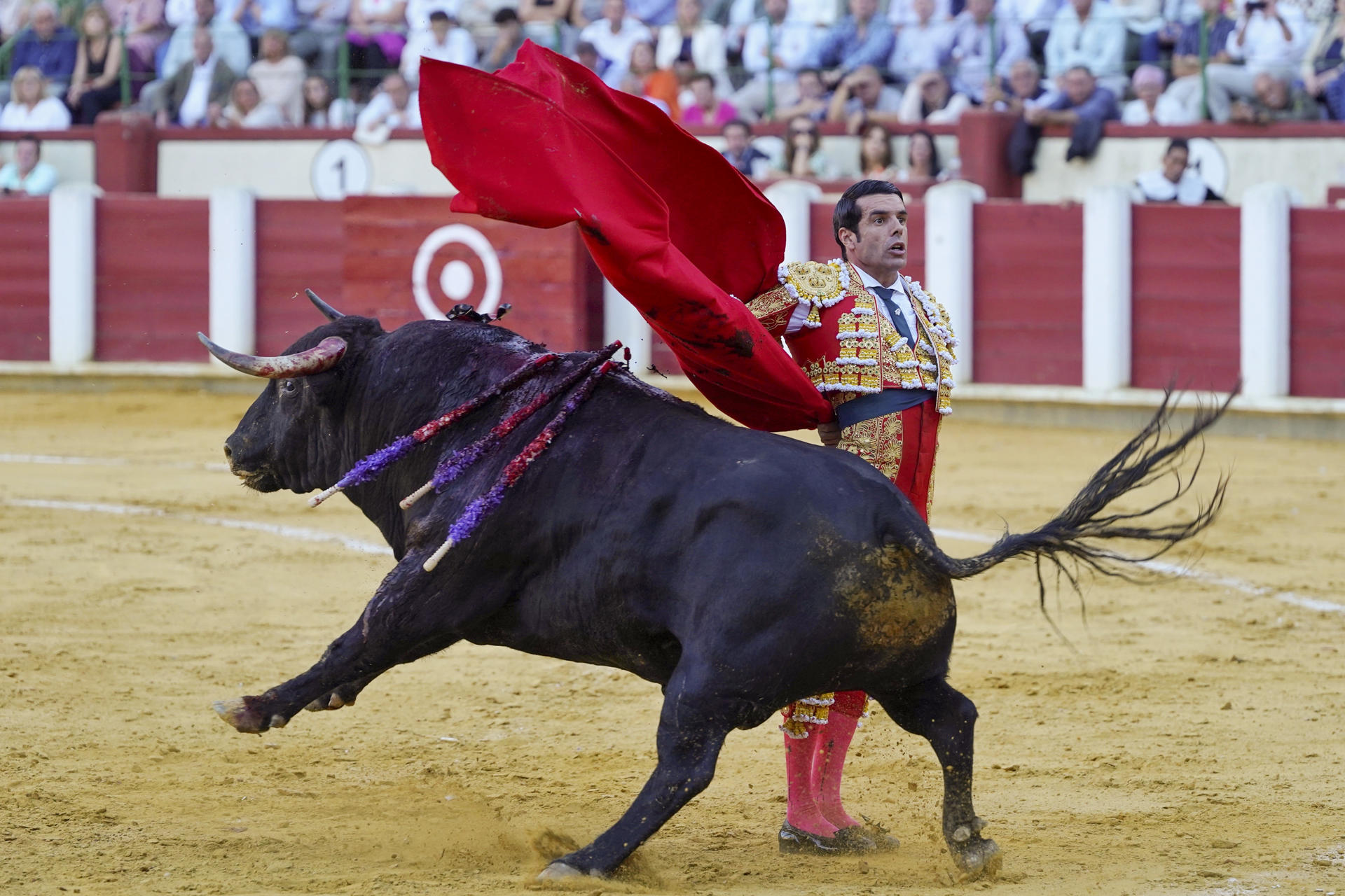 El diestro Emilio de Justo lidia un toro este jueves, durante la segunda de abono de la feria de San Lorenzo de Valladolid. EFE/ Nacho Gallego