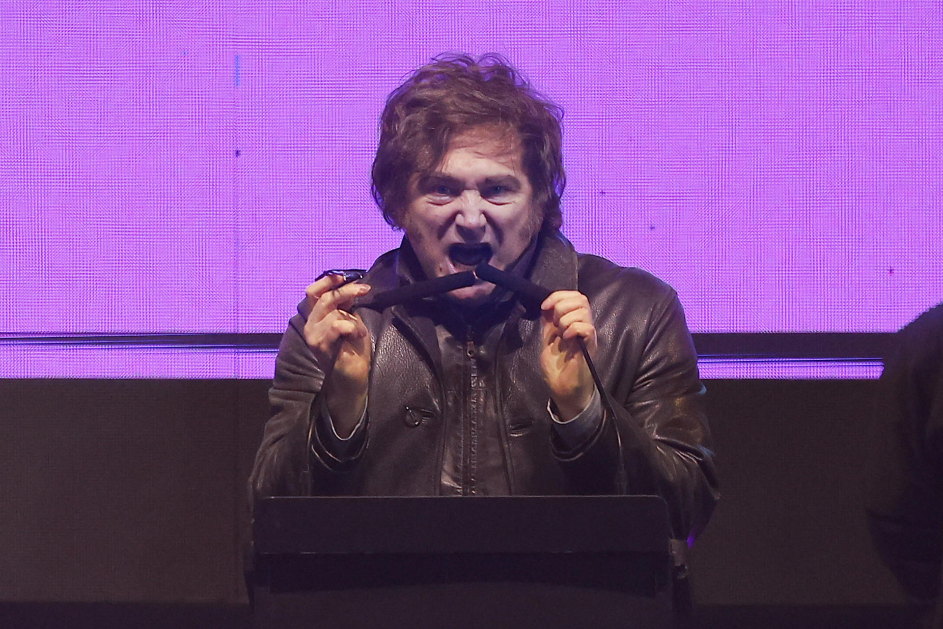 El presidente de Argentina, Javier Milei, habla durante el cierre de campaña de su partido La Libertad Avanza (LLA) este miércoles, en Moreno (Argentina). EFE/ Juan Ignacio Roncoroni