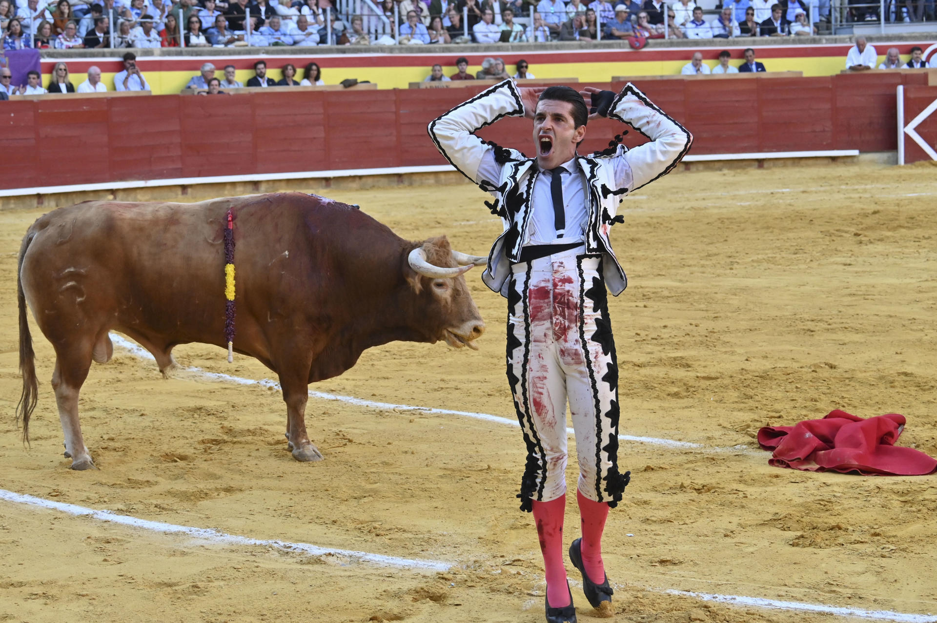 El diestro Alejandro Talavante con el cuarto de la tarde, al que cortó dos orejas, en la tradicional corrida goyesca de las fiestas de San Antolín, este martes en la plaza de toros de Palencia. EFE/ Almudena Álvarez