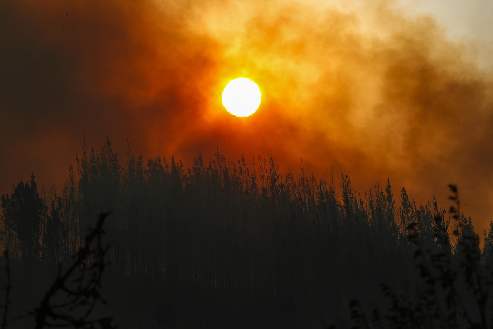 Imagen de archivo del incendio originado en A Pobra do Brollón y que el pasado 25 de agosto alcanzó el municipio de Quiroga, en la provincia de Lugo. EFE/Eliseo Trigo