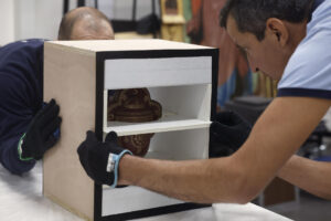 Embalaje del Tesoro del Delfín, que viaja a Francia para una exposición en el Palacio de Versailles. EFE/JP Gandul