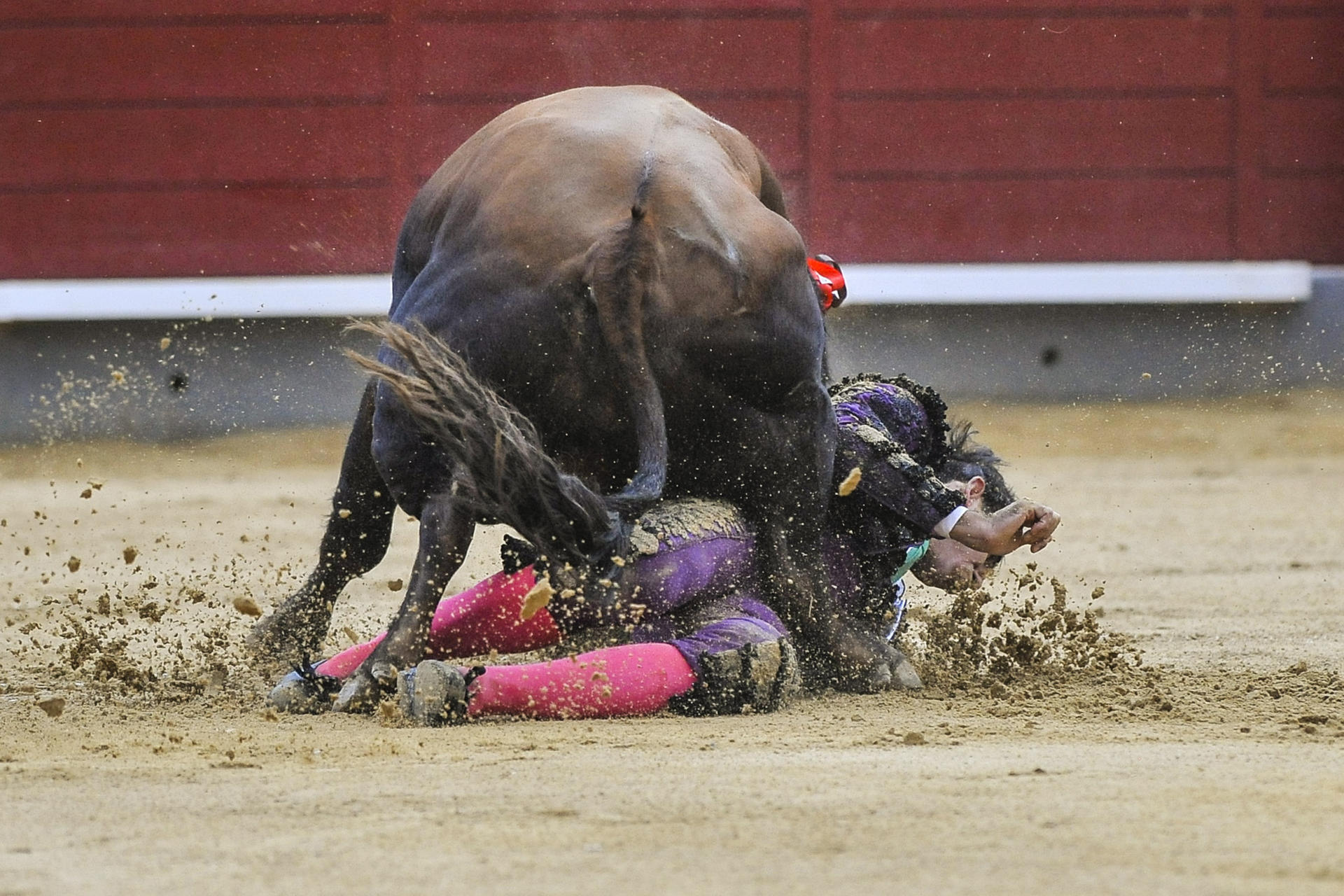 El diestro Saúl Jiménez Fortes cae al suelo con su primer toro este lunes, durante la Feria de Albacete. EFE/ Manu