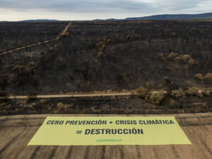 Greenpeace ha desplegado una pancarta de un kilómetro cuadrado en Palacios de Jamuz (León), uno de los pueblos más castigados por los incendios de este verano, prácticamente arrasado, con el lema "Cero prevención + crisis climática = destrucción", un dramático llamamiento a población e instituciones para evitar más catástrofes humanas y medioambientales. EFE/Greenpeace -SOLO USO EDITORIAL/SOLO DISPONIBLE PARA ILUSTRAR LA NOTICIA QUE ACOMPAÑA (CRÉDITO OBLIGATORIO)-