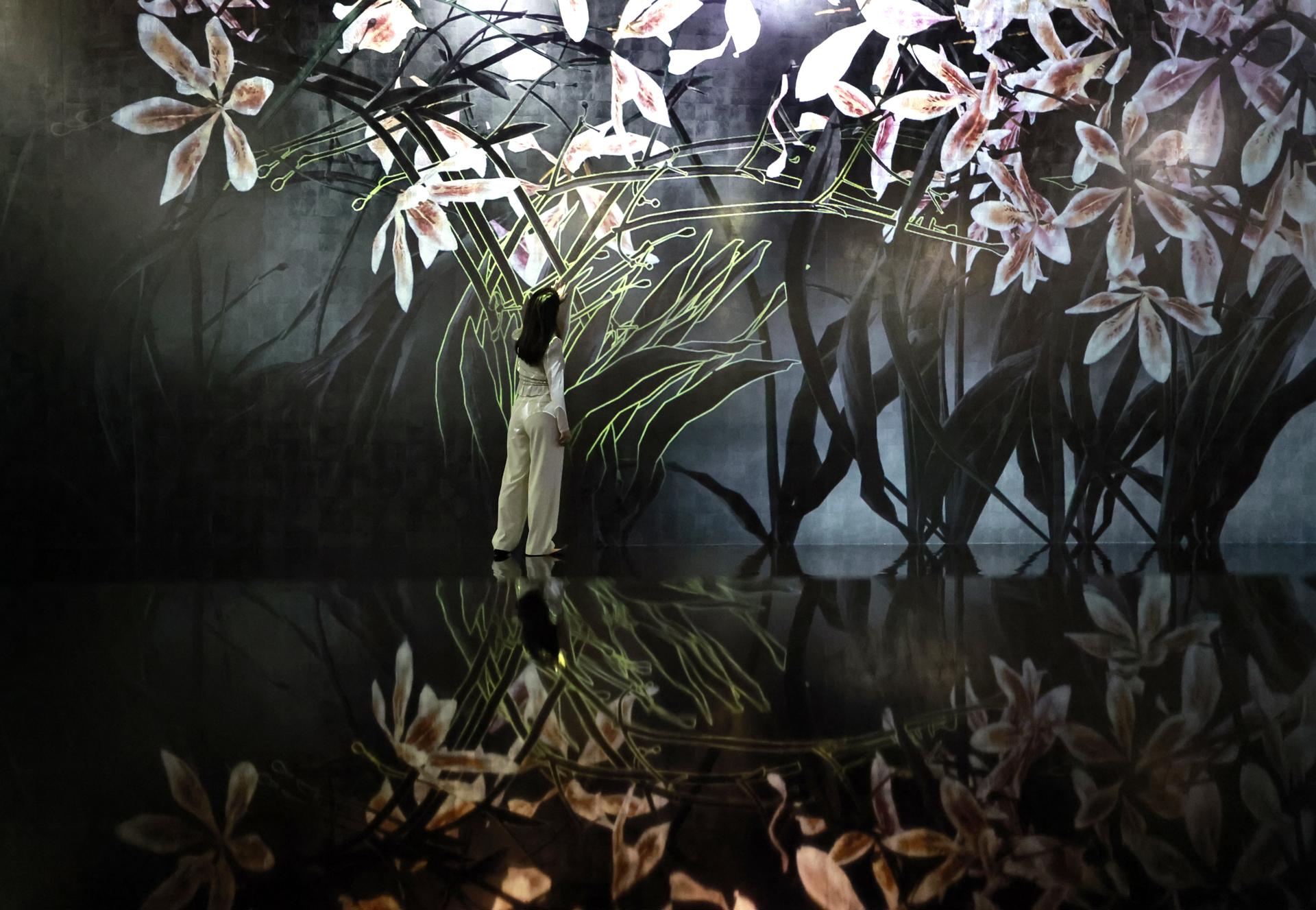 El colectivo artístico nipón teamLab presenta su su nuevo y mayor museo hasta la fecha en Japón, Biovortex, en Kioto. EFE/EPA/FRANCK ROBICHON