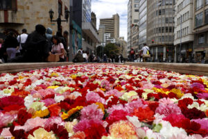 Un río de 150.000 flores amaneció en el eje ambiental como antesala de la inauguración de la primera edición de la Bienal Internacional de Arte y Ciudad BOG25 este sábado, en Bogotá (Colombia). EFE/ Mauricio Dueñas Castañeda