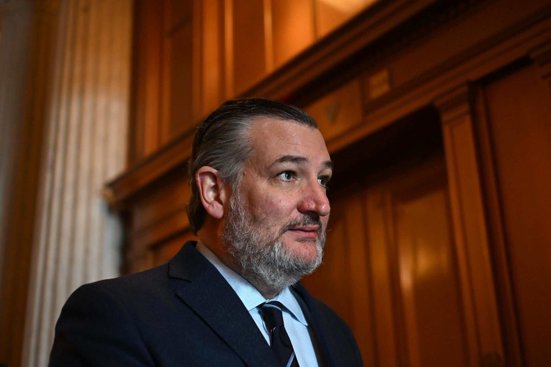 Fotografía de archivo del senador republicano Ted Cruz.  EFE/EPA/Alex Wroblewski