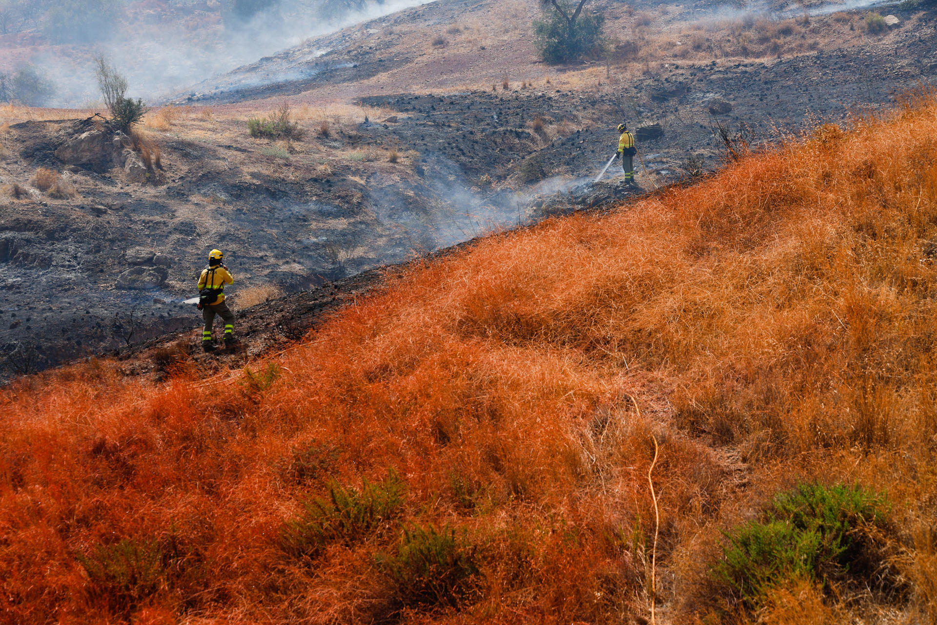 Operarios del Infoca durante las labores de apagado del incendio en el Monte Coronado, este lunes en Málaga. EFE/Jorge Zapata