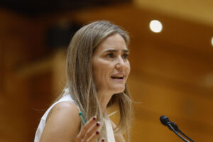 La vicepresidenta tercera y ministra para la Transición Ecológica y el Reto Demográfico Sara Aagesen, interviene en el pleno del Senado este martes. EFE/ Rodrigo Jimenez