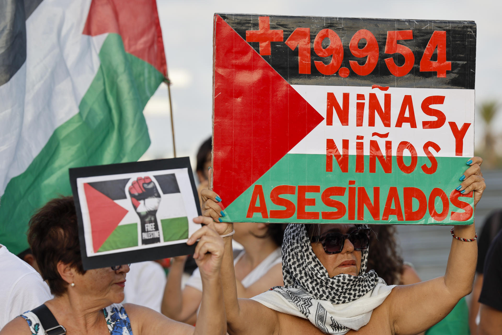 Entidades de apoyo a Palestina celebran una concentración bajo el lema "Cap port per al genocidi. Fi al comerç i trànsit d'armes amb Israel" ante la llegada al Puerto de València de un barco con material militar para Israel, según los convocantes de la protesta. EFE/Ana Escobar