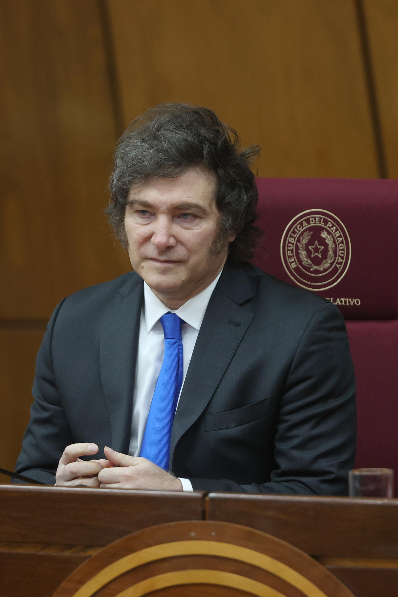 El presidente de Argentina, Javier Milei, durante un discurso este 17 de septiembre de 2025, en el Palacio Legislativo en Asunción (Paraguay). EFE/ Juan Pablo Pino