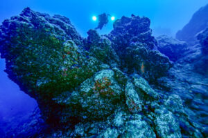 Cuatro años después del inicio de la erupción del volcán Tajogaite, la Plataforma Oceánica de Canarias (PLOCAN) ha presentado los avances del proyecto DELTA, centrado en estudiar la recuperación de los ecosistemas marinos en las fajanas creadas por la lava en la costa de La Palma y que muestran una recuperación asombrosa de la biodiversidads. EFE/ Plataforma Oceánica de Canarias/SOLO USO EDITORIAL/SOLO DISPONIBLE PARA ILUSTRAR LA NOTICIA QUE ACOMPAÑA (CRÉDITO OBLIGATORIO)