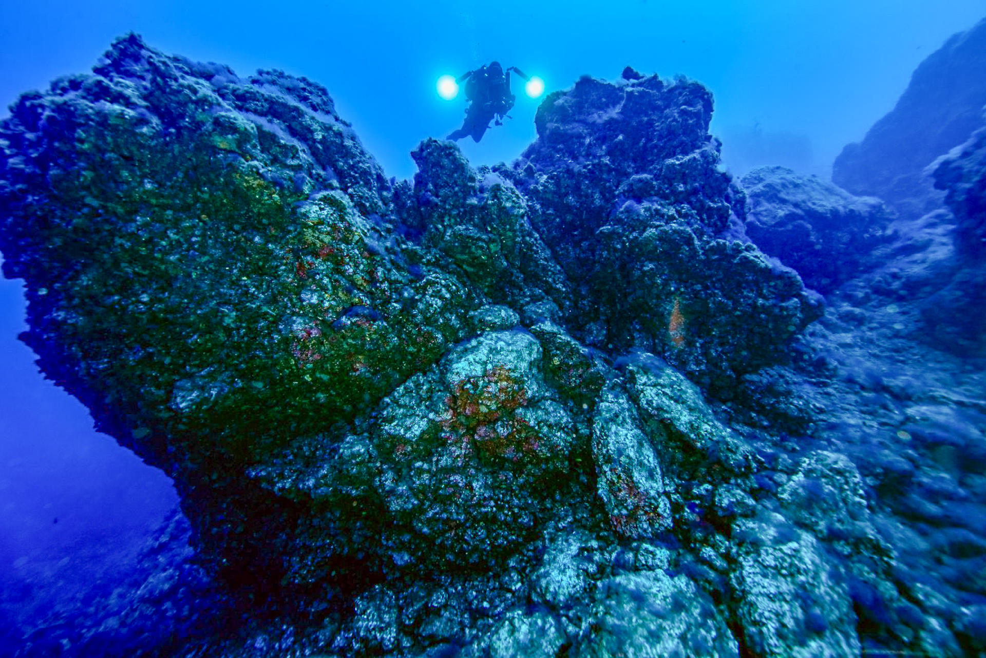 Cuatro años después del inicio de la erupción del volcán Tajogaite, la Plataforma Oceánica de Canarias (PLOCAN) ha presentado los avances del proyecto DELTA, centrado en estudiar la recuperación de los ecosistemas marinos en las fajanas creadas por la lava en la costa de La Palma y que muestran una recuperación asombrosa de la biodiversidads. EFE/ Plataforma Oceánica de Canarias/SOLO USO EDITORIAL/SOLO DISPONIBLE PARA ILUSTRAR LA NOTICIA QUE ACOMPAÑA (CRÉDITO OBLIGATORIO)