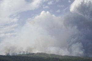 Fotografía de archivo de uno de los recientes incendios en Extremadura. EFE/Eduardo Palomo