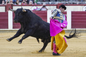 El diestro El Fandi da un pase a un toro de los de su lote, durante la quinta de abono de la Feria de Valladolid celebrada este domingo en la plaza de toros de la capital castellano-leonesa. EFE/Nacho Gallego