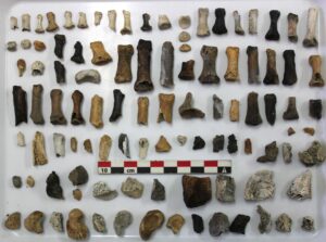 Una investigación arqueológica en la necrópolis de Los Milanes de Abla (Almería) ha demostrado que el rito funerario de la cremación empezó hace 4.800 años, un milenio y medio antes de lo que se pensaba. Fotografía facilitada por la Universidad de Granada. EFE