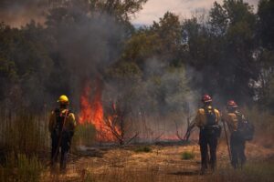 Fotografía de archivo en donde bomberos trabajan para contener un incendio forestal. EFE/ALLISON DINNER
//////////
LOS ANGELES (United States), 22/08/2025.- Firefighters work to contain the 'Woodley Fire' during a major heat wave in Los Angeles, California, USA, 21 August 2025. California is experiencing the first major heatwave of the year, heightening wildfire risks. (incendio forestal) EFE/EPA/ALLISON DINNER