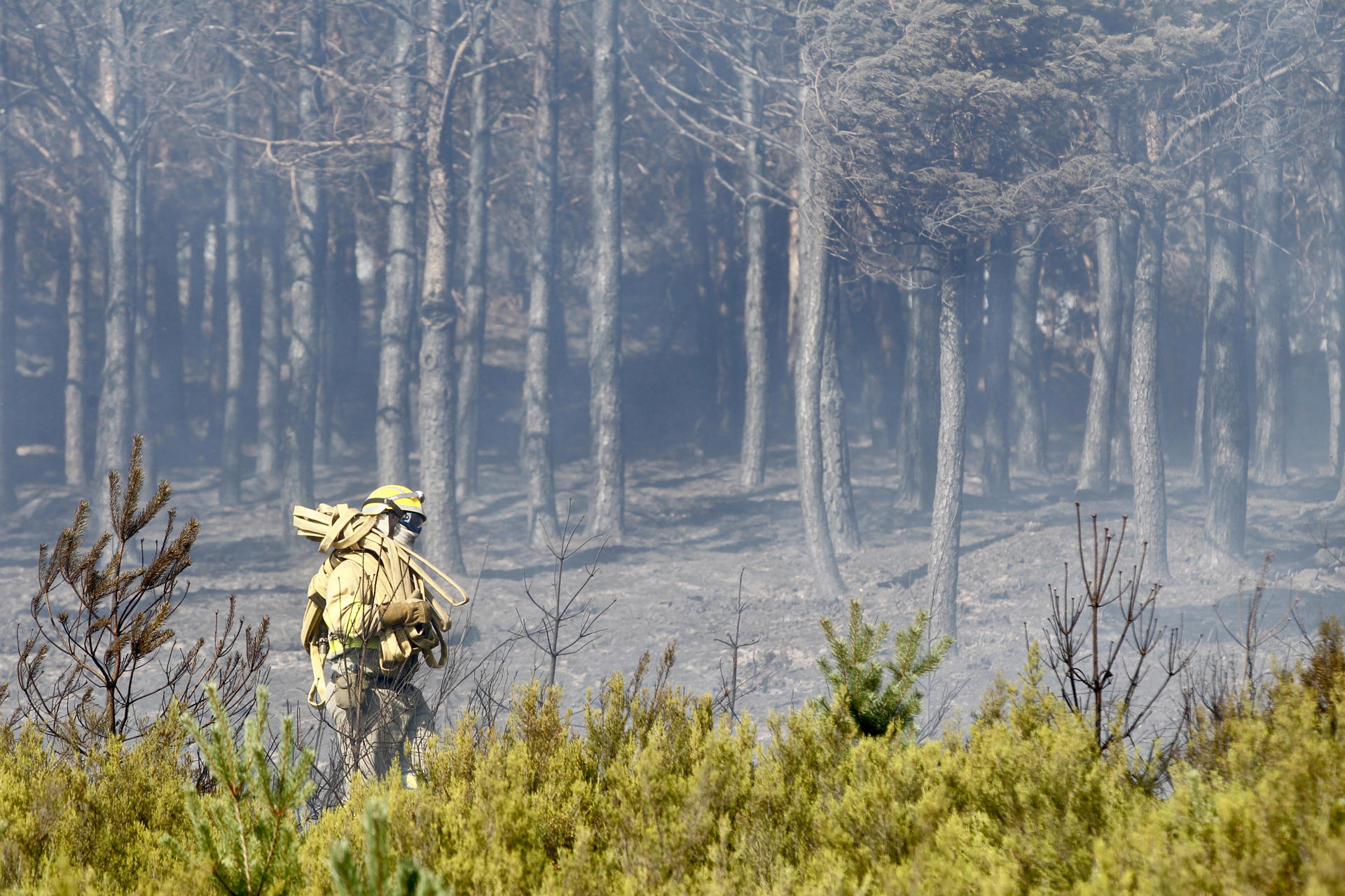 Imagen del municipio de Castromil el pasado 15 de agosto, cuando los brigadistas intentaban contener el incendio en la zona limítrofe entre Ourense y Zamora. EFE/Mariam A. Montesinos