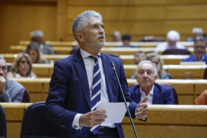 El ministro del Interior, Fernando Grande-Marlaska, interviene este martes, durante el Pleno del Senado, en Madrid. EFE/ Juanjo Martín