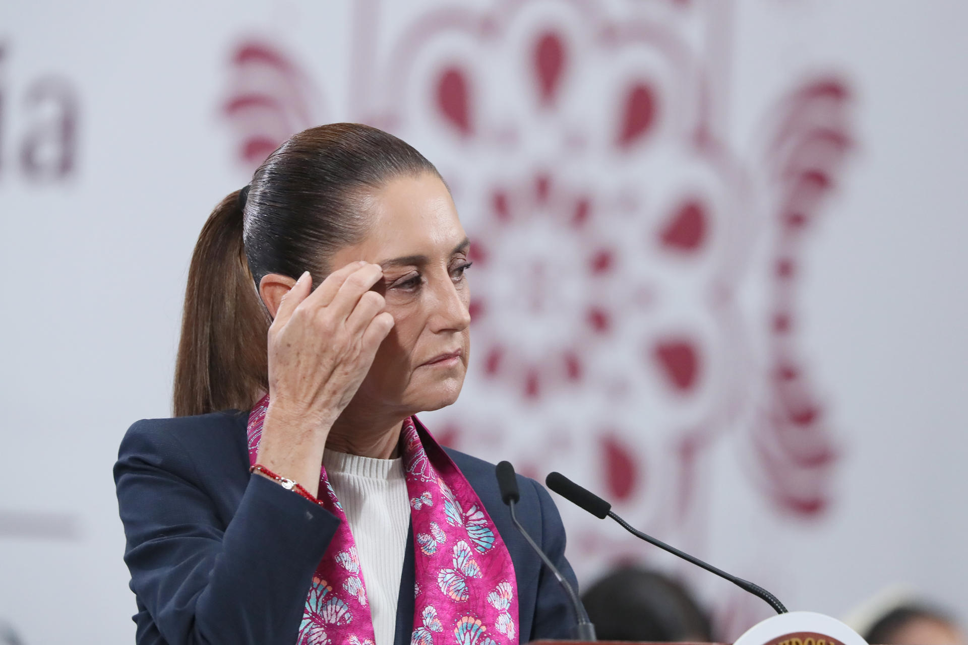 La presidenta de México, Claudia Sheinbaum, habla durante una rueda de prensa este martes, en el Palacio Nacional de Ciudad de México (México). EFE/ Mario Guzmán
