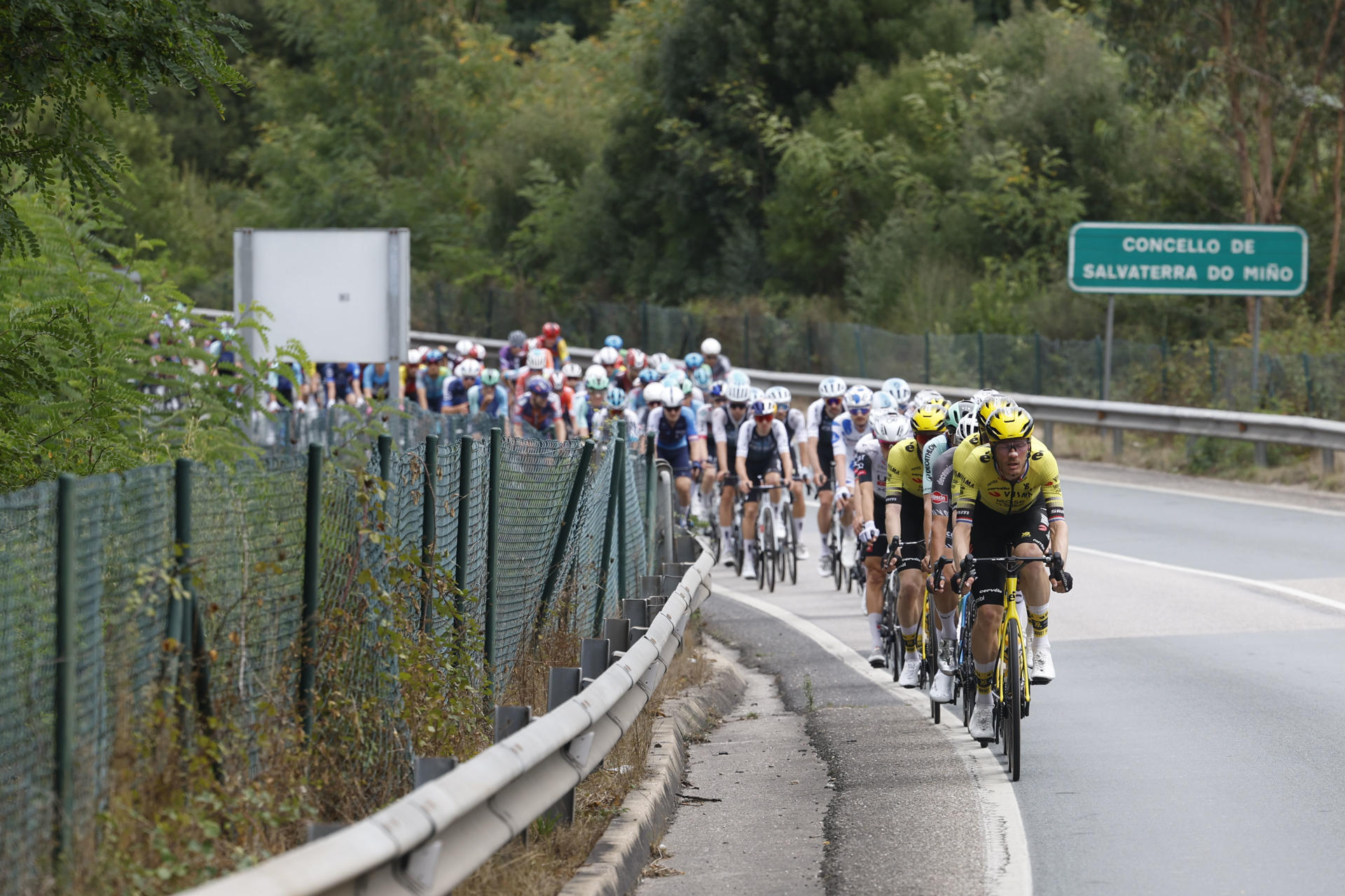 El pelotón durante la etapa 16 de la Vuelta Ciclista a España que se disputa este martes entre Poio y Mos-Castro de Herville (Pontevedra), de 167.9 km de recorrido. EFE/ Javier Lizón