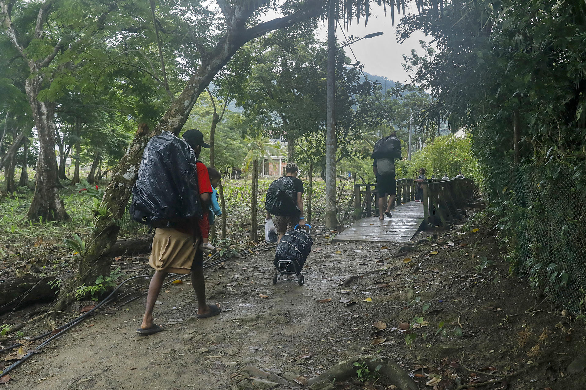Un grupo de migrantes fue captado el pasado 30 de agosto, al emprender su camino en medio de una zona selvática, en zona Sapzurro (Chocó, Colombia). EFE/Juan Diego López