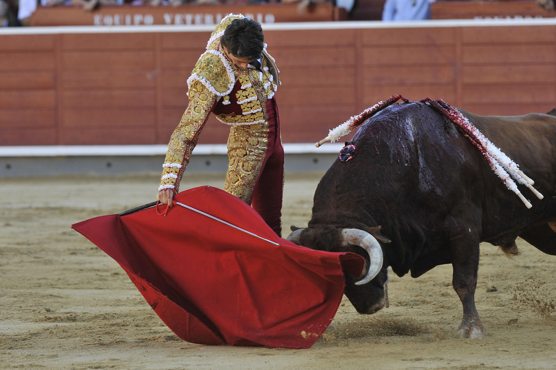 El diestro francés Sebastián Castella lidia un toro este jueves, durante la Feria de Albacete (Castilla la Mancha). EFE/ Manu
