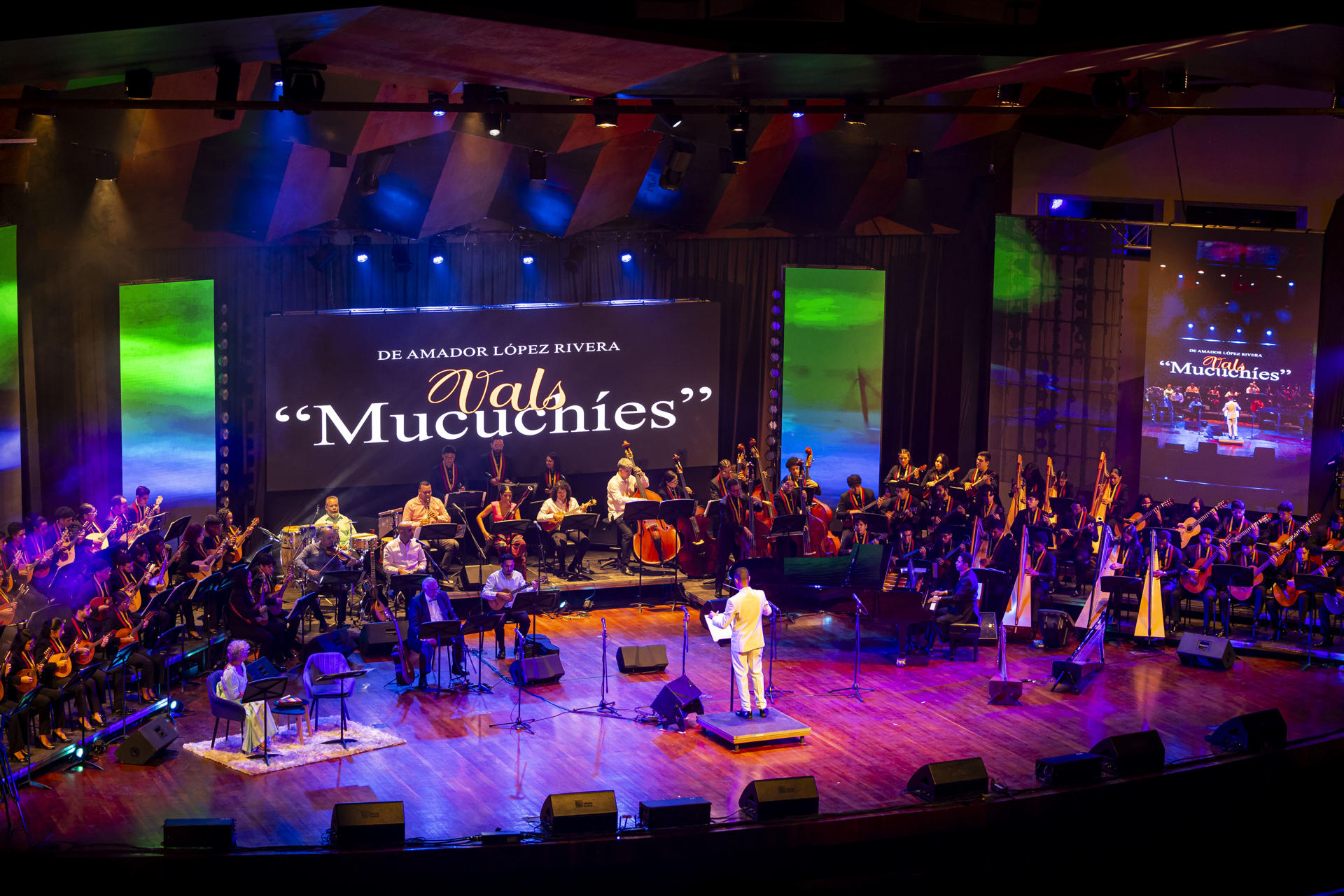 Artistas participan en un concierto este domingo, en Caracas (Venezuela). EFE/ Miguel Gutiérrez

