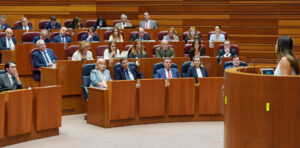 La viceportavoz del Grupo Parlamentario Socialista, Nuria Rubio (d), durante su intervención en la sesión plenaria celebrada este miércoles en el pleno de las Cortes de Castilla y León.-EFE/ Nacho Gallego